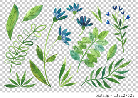 Set of watercolor images of summer plants, wildflowers, branches, and leaves. A hand drawn spring and summer floral set. Set of watercolor images of summer plants, wildflowers, branches, and leaves. A hand drawn spring and summer floral set. 138127525