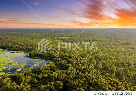 Florida wetlands with water between green wild vegetation. Tropical ecosystem at sunset Florida wetlands with water between green wild vegetation. Tropical ecosystem at sunset 138127553