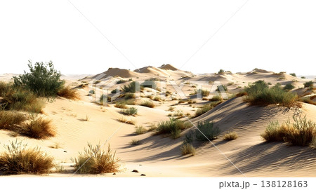 A realistic desert landscape featuring sand dunes and sparse vegetation isolated on a white background. 138128163