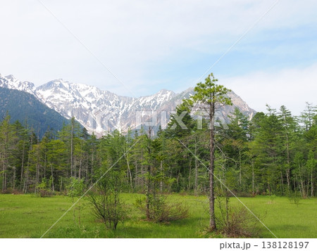 上高地の新緑と雪山が美しい爽やかな山岳風景 138128197