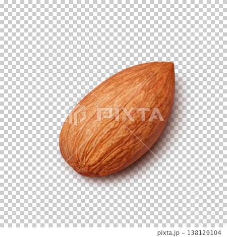 Realistic illustration of an almond 138129104