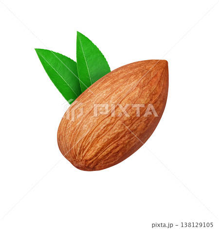 アーモンドのイラスト リアル 138129105