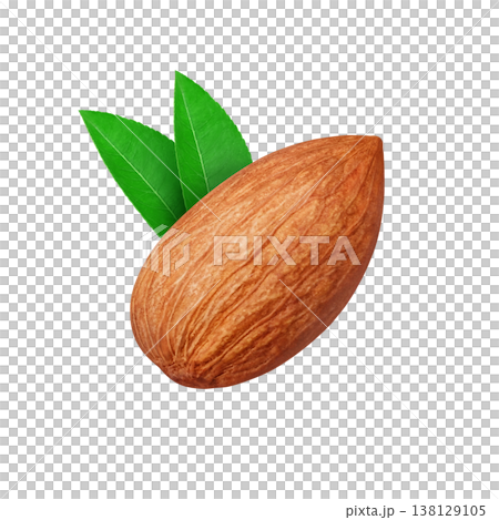 アーモンドのイラスト リアル 138129105