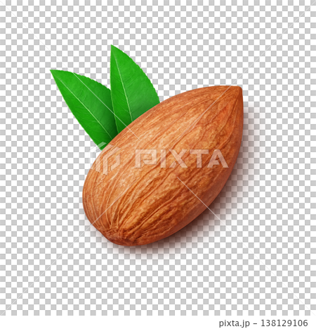 Almond illustration real Almond illustration real 138129106