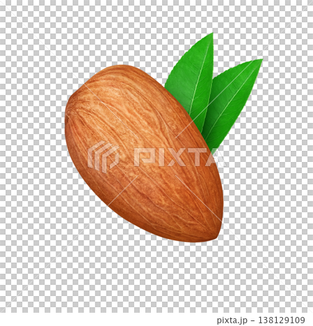 杏仁的逼真插圖 138129109