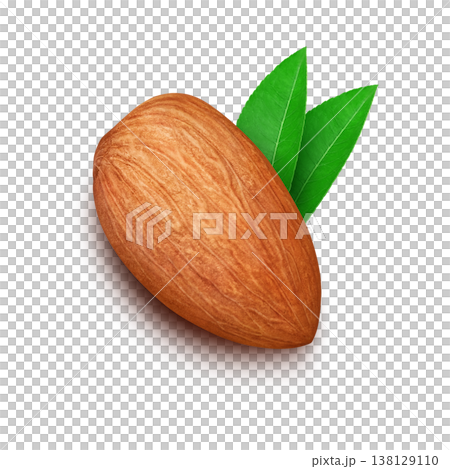 Realistic illustration of an almond Realistic illustration of an almond 138129110