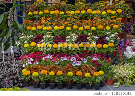 Vertical Floral Display Vertical Floral Display 138130142