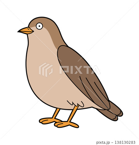 Cute cartoon vector illustration of a forest bird isolated on white background Cute cartoon vector illustration of a forest bird isolated on white background 138130283