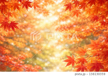 紅葉　カエデ　秋　秋イメージ　アニメ風 138130359