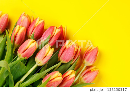 Fresh pink tulips on yellow background 138130517