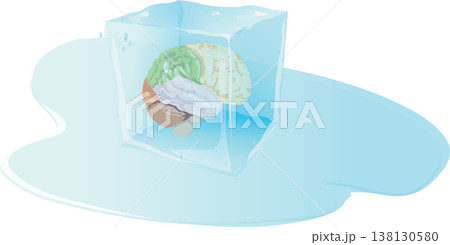 human organ frozen brain hibernated- 138130580