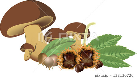 harvest of undergrowth chestnuts and medlar mushrooms mushroom harvest of undergrowth chestnuts and medlar mushrooms mushroom 138130726