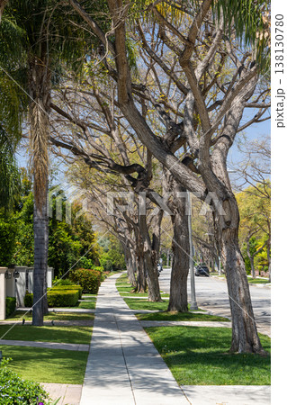 Suburban street with houses in the Los Angeles area Suburban street with houses in the Los Angeles area 138130780