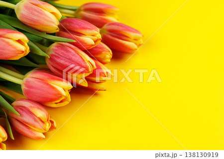 Fresh pink tulips on yellow background Fresh pink tulips on yellow background 138130919