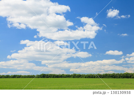 Sunny summer landscape with green field Sunny summer landscape with green field 138130938