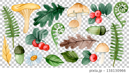 set of autumn watercolor elements. mushrooms berries, and leaves. set of autumn watercolor elements. mushrooms berries, and leaves. 138130966