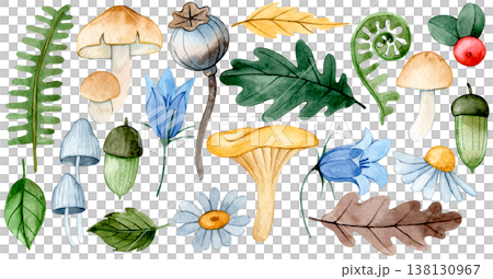 set of autumn watercolor elements. mushrooms, flowers and leaves. set of autumn watercolor elements. mushrooms, flowers and leaves. 138130967