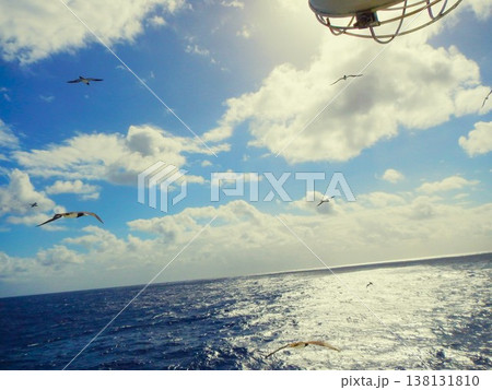 揺れる船上から見たカツオドリドリの飛ぶ太平洋の海景 揺れる船上から見たカツオドリドリの飛ぶ太平洋の海景 138131810