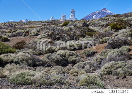 Teide Observatory with Volcano in Tenerife Mountain Landscape 138131842
