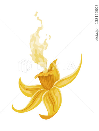 Vanilla flower. Realistic vector isolated design element. Nature spice. Yellow blossom with drops 138133008