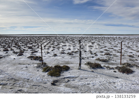 Salty soil in a dry lagoon, in the south of the province of La Pampa, Patagonia, Argentina. Salty soil in a dry lagoon, in the south of the province of La Pampa, Patagonia, Argentina. 138133259
