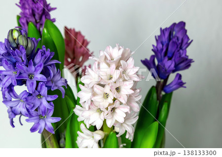 Easter floral background with hyacinth flowers and copy space. 138133300