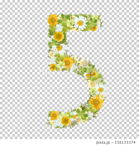 以植物為靈感，用壓花工藝製作的數字5圖案，採用黃色和白色花朵。透明PNG背景。 138133374