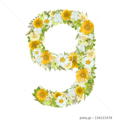 数字の9の押し花素材 黄色と白の花を敷き詰めたボタニカルナンバー 背景透過PNG 138133378