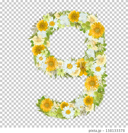 数字の9の押し花素材 黄色と白の花を敷き詰めたボタニカルナンバー 背景透過PNG 138133378