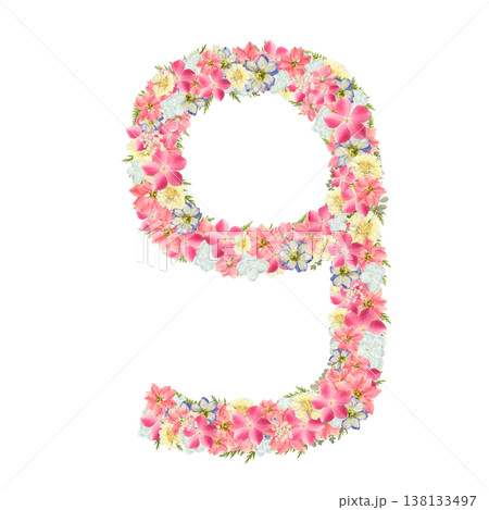 数字の9の押し花素材 ピンクとブルーの花を詰め込んだボタニカルナンバー 背景透過PNG 138133497