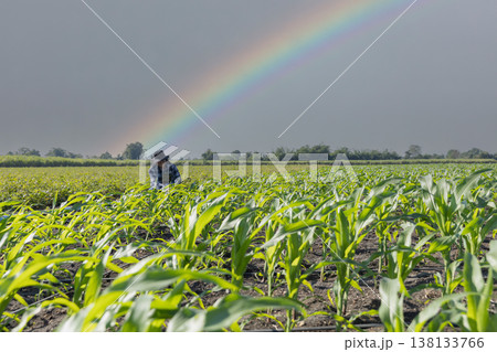 Farmer uses digital tablet for analyse and check corn plants at field. Modern agribusiness. Farmer uses digital tablet for analyse and check corn plants at field. Modern agribusiness. 138133766