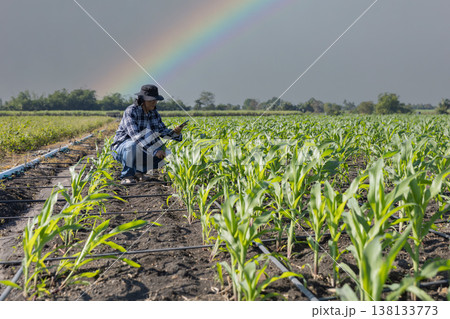 Farmer uses digital tablet for analyse and check corn plants at field. Modern agribusiness. Farmer uses digital tablet for analyse and check corn plants at field. Modern agribusiness. 138133773