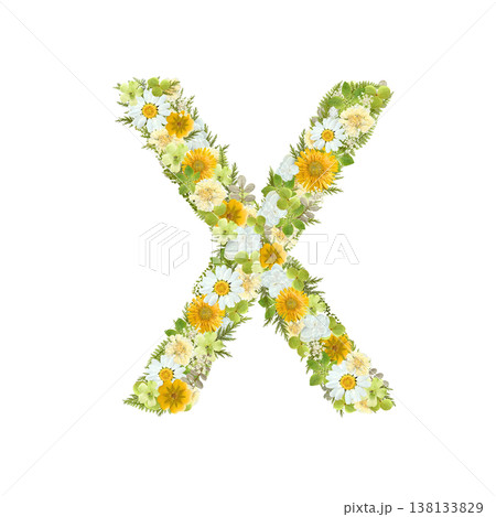 アルファベットのXの押し花素材 黄色と緑の花を敷き詰めたボタニカル文字 背景透過PNG 138133829