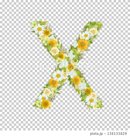 アルファベットのXの押し花素材 黄色と緑の花を敷き詰めたボタニカル文字 背景透過PNG 138133829