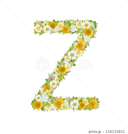 アルファベットのZの押し花素材 黄色と緑の花を敷き詰めたボタニカル文字 背景透過PNG アルファベットのZの押し花素材 黄色と緑の花を敷き詰めたボタニカル文字 背景透過PNG 138133831