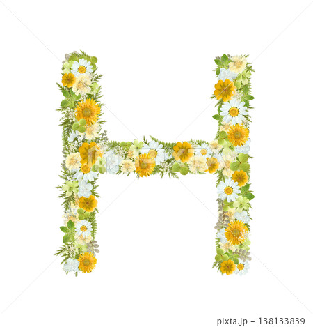 アルファベットのHの押し花素材 黄色と緑の花を敷き詰めたボタニカル文字 背景透過PNG アルファベットのHの押し花素材 黄色と緑の花を敷き詰めたボタニカル文字 背景透過PNG 138133839
