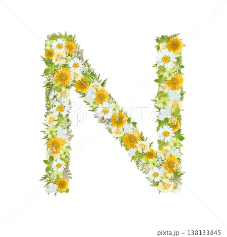 アルファベットのNの押し花素材 黄色と緑の花を敷き詰めたボタニカル文字 背景透過PNG 138133845