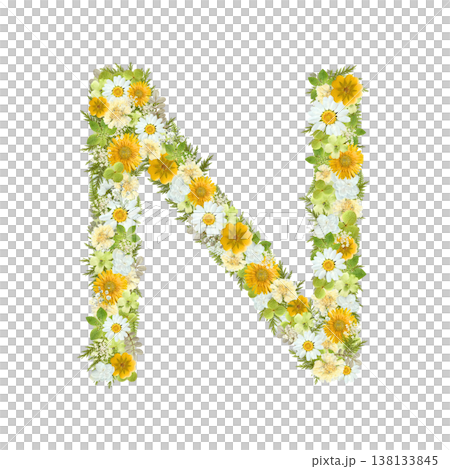 Pressed flower design of the letter N, featuring yellow and green flowers in a botanical style. Transparent PNG background. Pressed flower design of the letter N, featuring yellow and green flowers in a botanical style. Transparent PNG background. 138133845