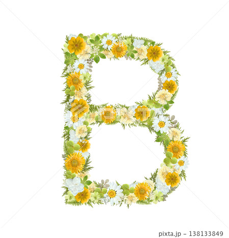 アルファベットのBの押し花素材 黄色と緑の花を敷き詰めたボタニカル文字 背景透過PNG アルファベットのBの押し花素材 黄色と緑の花を敷き詰めたボタニカル文字 背景透過PNG 138133849