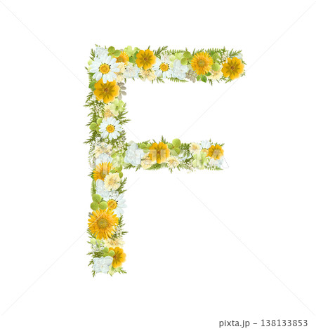 アルファベットのFの押し花素材 黄色と緑の花を敷き詰めたボタニカル文字 背景透過PNG アルファベットのFの押し花素材 黄色と緑の花を敷き詰めたボタニカル文字 背景透過PNG 138133853