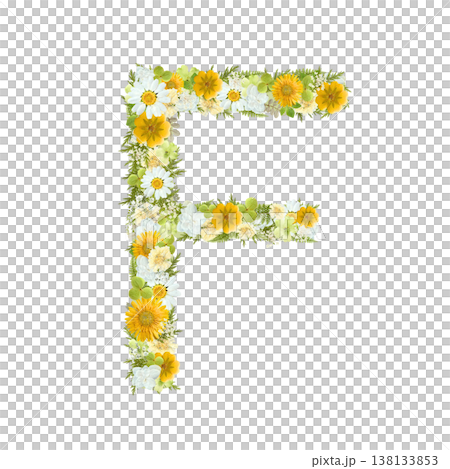 アルファベットのFの押し花素材 黄色と緑の花を敷き詰めたボタニカル文字 背景透過PNG アルファベットのFの押し花素材 黄色と緑の花を敷き詰めたボタニカル文字 背景透過PNG 138133853