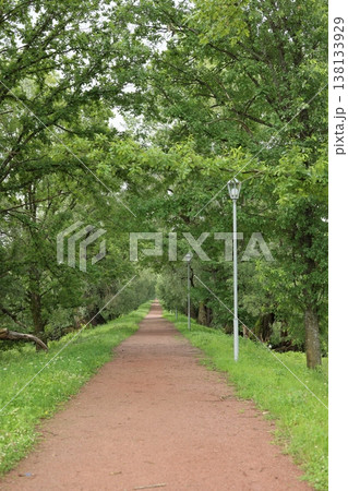 Pathway shaded by trees connecting neighborhoods to landmarks and parks Pathway shaded by trees connecting neighborhoods to landmarks and parks 138133929