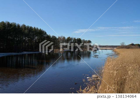Calm River Landscape With Trees. Tranquil Marshlands Under Gentle Blue Sky With Surrounding Trees 138134064