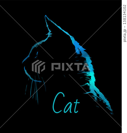 Blue cat on a black background. Hand drawn. Not AI, vector illustration. 138134102