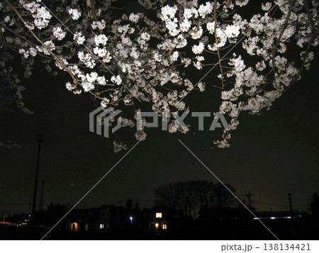 夜桜変化(2013.3.29) 若宮ふれあい公園 桜手帖 春のお知らせ 夜に溶け込む燃える薄桃色 夜桜変化(2013.3.29) 若宮ふれあい公園 桜手帖 春のお知らせ 夜に溶け込む燃える薄桃色 138134421