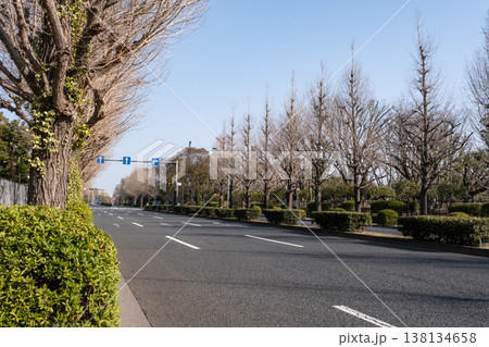 霞ケ関官公庁街の風景 霞ケ関官公庁街の風景 138134658