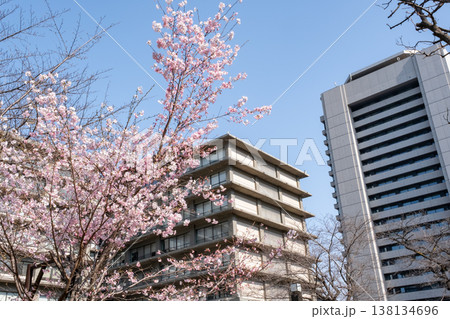 桜咲くビル街の都市風景 桜咲くビル街の都市風景 138134696