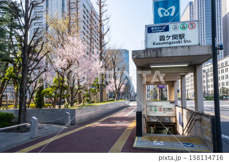 桜が咲く霞ヶ関駅付近の風景 138134716