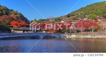 秋の日本庭園、鮮やかな紅葉と池に架かる橋の風景 138134760