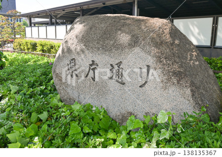 岡山・県庁通り 岡山・県庁通り 138135367